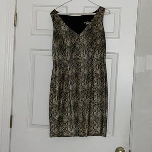 Sleeveless dress, snake print with back zipper and size 10.